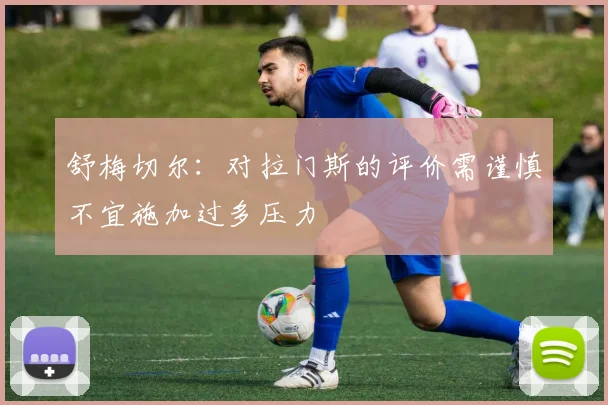 舒梅切尔：对拉门斯的评价需谨慎不宜施加过多压力