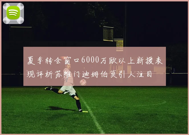 夏季转会窗口6000万欧以上新援表现评析苏维门迪姆伯莫引人注目