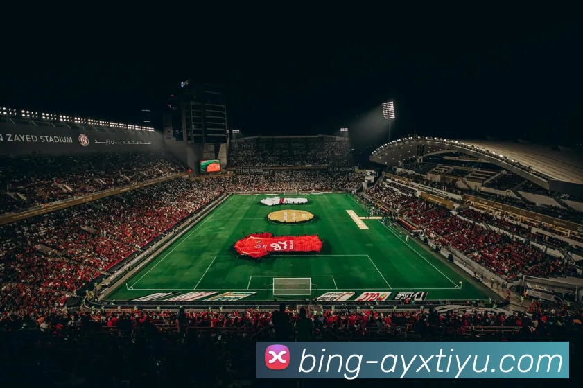 爱游戏体育平台生态图