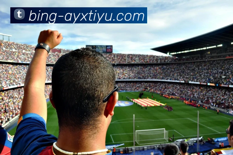 爱游戏体育APP 封面图